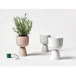 Iittala Nappula plant pot, 260 x 155 mm, pale grey