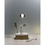 Ingo Maurer Shhh! pendant, black, decoration image
