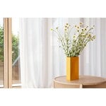 Northern Vaso Into, giallo, immagine decorativa