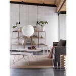 Swedese Libri shelf, 3 shelves, natural lacquered oak, decoration image