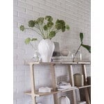 Swedese Libri shelf, 3 shelves, natural lacquered oak, decoration image