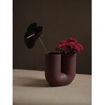 Muuto Kink vase, deep red, decoration image