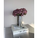 Nichba Vaso Stainless Steel, 24 cm, acciaio inox lucidato, immagine decorativa