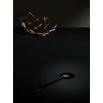 Tom Dixon Bone bowl, small, brass, decoration image