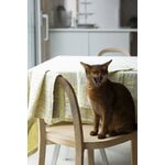 Lapuan Kankurit Osmankäämi table cloth/throw, 145 x 200 cm, linen - yellow, decoration image Lapuan Kankurit Osmankäämi table cloth/throw, 145 x 200 cm, linen - yellow, decoration image