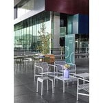 HAY Palissade lounge chair, low, hot galvanised, decoration image