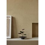 Audo Copenhagen Hana vase, 7 cm, umber