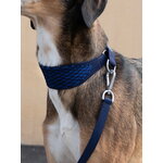 Masimalo Guinzaglio 3D Knit, blu scuro - blu reale, immagine decorativa