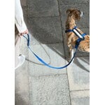 Masimalo Colour Block leash, navy - grandala blue, decoration image