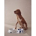 Alessi Itsumo - Yunoki matskål för hund, stor, vit - blå, dekorationsbild