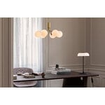 Nuura Apiales 6 pendant, brushed brass - opal white