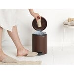 Brabantia newIcon poljinroska-astia, mineral cosy brown