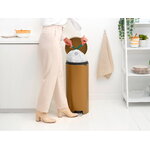 Brabantia newIcon poljinroska-astia, 30 L, warm brass, sisustuskuva