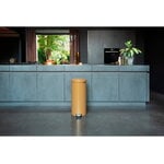 Brabantia cestino a pedale newIcon, 30 L, warm gold, immagine decorativa