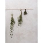 Verso Design Oksa coat rack, L, birch, view 2