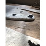 MUM's Polar Bear rug, decoration image