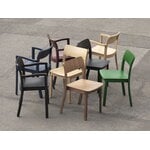 HAY Pastis chair, lacquered oak