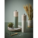 Peugeot Boreal salt mill, 21 cm, sage green, decoration image