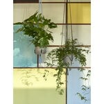 HAY Phanta plant hanger, light blue, decoration image