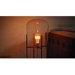 Philips Hue White and Color Ambience smart bulb 8.1W A60 E27 1100lm 1000-20000K, decoration image