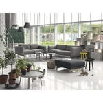 Muuto Around coffee table, large, black