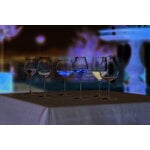 Riedel Veritas Old World Pinot Noir red wine glass, 2 pcs, decoration image