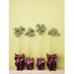 Serax After Midnight vase, S, aubergine, decoration image