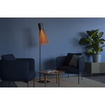 Secto Design Secto 4210 floor lamp, black, decoration image