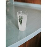 Serax Bicchiere lungo Silhouette, 44 cl, trasparente, immagine decorativa