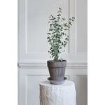 Bergs Potter Simona Blumentopf mit Untersetzer, rohgrau, dekorationsbild