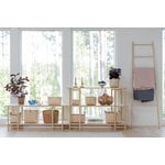 Verso Design Tikas shelf, low, 120 cm, birch, view 4