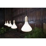 Tala Lampadina LED Noma, 6 W E27, dimmerabile