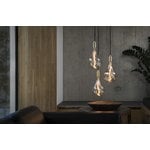 Tala Voronoi II LED bulb 3W E27, dimmable