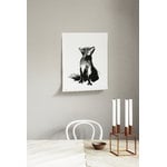 Teemu Järvi Illustrations Fox poster, 50 x 70 cm, dekorationsbild