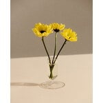 HAY Vase Tiny, transparent