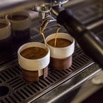 Tonfisk Design Warm espresso cup 0,8 dl, 2 pcs, walnut