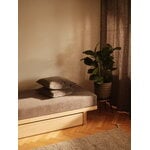 Matri Daybed vuodevaatelaatikolla, saarni, sisustuskuva