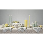 Uyuni Lighting Light candleholder for standard LED taper candles, 2 pcs, matte brass, decoration image