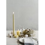 Uyuni Lighting Light candleholder for standard LED taper candles, 2 pcs, matte brass, decoration image