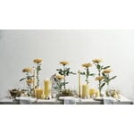 Uyuni Lighting Light candleholder for standard LED taper candles, 2 pcs, matte brass, decoration image