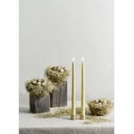Uyuni Lighting Light candleholder for standard LED taper candles, 2 pcs, matte brass, decoration image