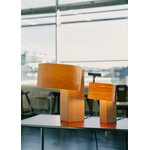 Vaarnii 018 Hoop table lamp, small, decoration image