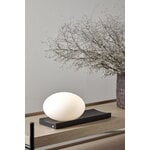 Woud Dew table and wall lamp, black painted ash