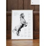 Teemu Järvi Illustrations Affiche Année du Cheval 2026, 50 x 70 cm, image décorative
