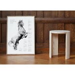 Teemu Järvi Illustrations Affiche Année du Cheval 2026, 50 x 70 cm, image décorative