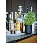 Zone Denmark Timer da cucina Singles, grigio caldo, immagine decorativa