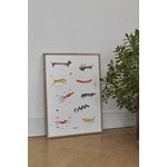 MADO The Mado Family poster, 50 x 70 cm