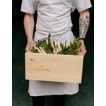 Vaarnii 020 Koppa crate, small, pine, view 13