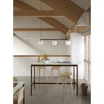 Muuto Rime rail lamp, black, decoration image