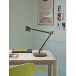 Muuto Lampe de table Dedicate, S2, vert-marron